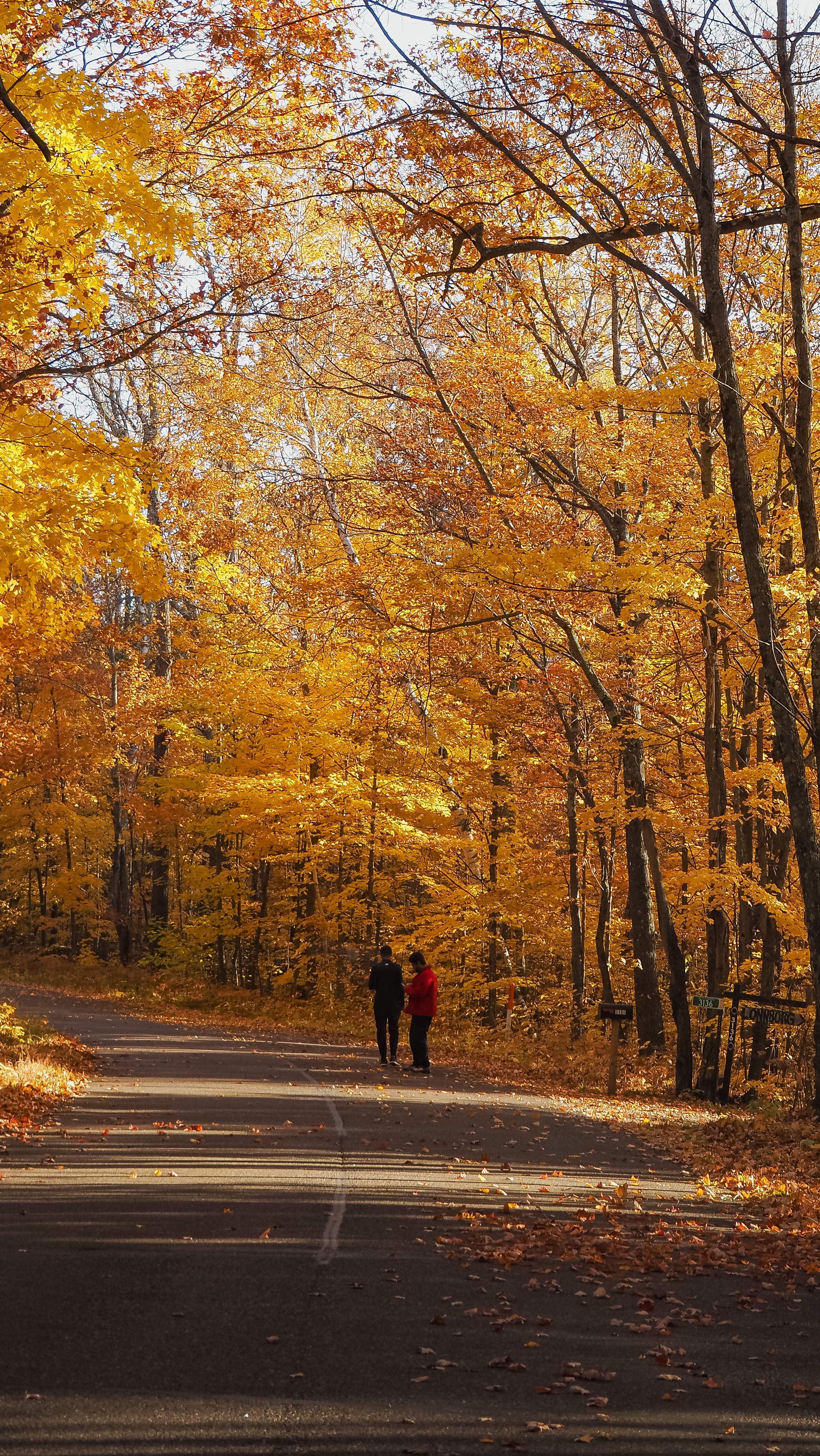 Photography showcase