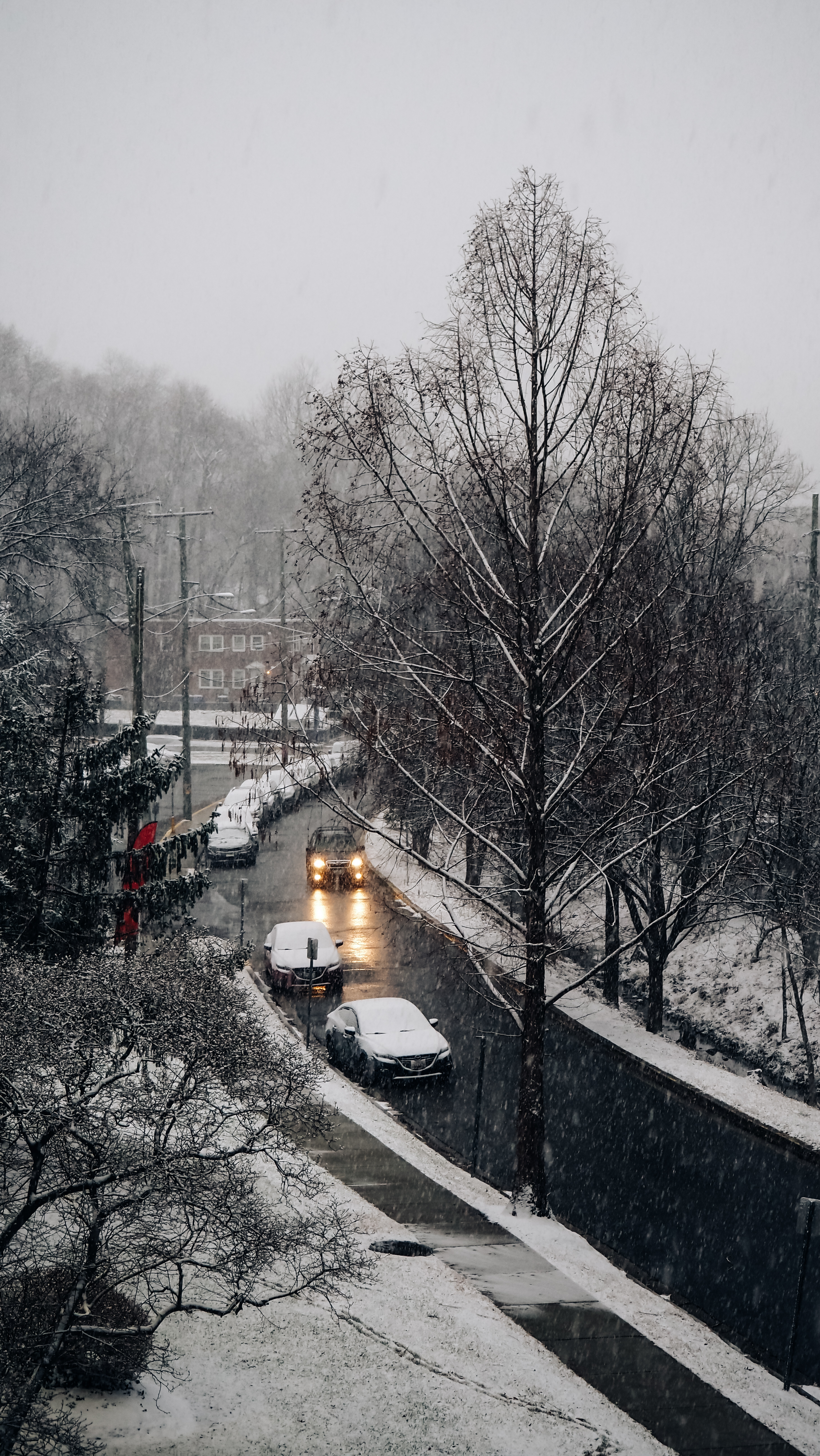 Photography showcase