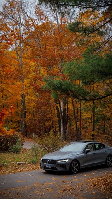 Photography showcase